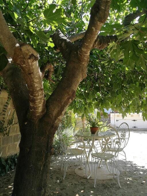 Casa La Higuera Villa Chulilla Ngoại thất bức ảnh