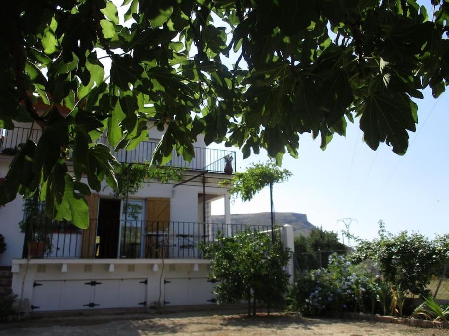 Casa La Higuera Villa Chulilla Ngoại thất bức ảnh