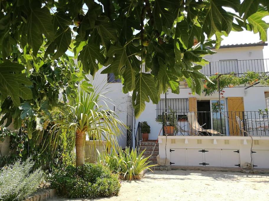 Casa La Higuera Villa Chulilla Ngoại thất bức ảnh