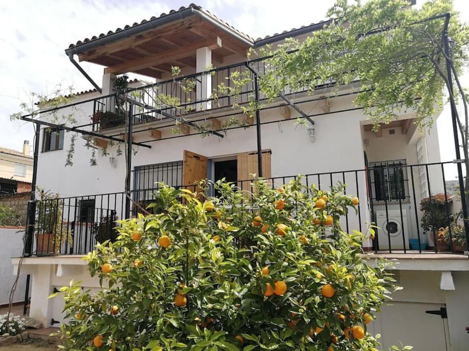Casa La Higuera Villa Chulilla Ngoại thất bức ảnh